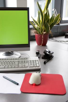 A computer on a desk, with a mouse on a mousemat and a plant in the background